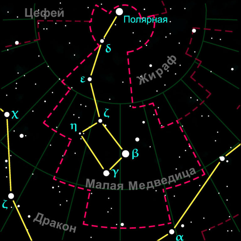 Как выглядит большая и малая медведица на небе фото