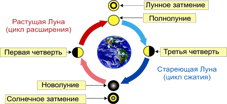 Дайте характеристику лунного затмения заполнив таблицу графическое изображение процесса затмения