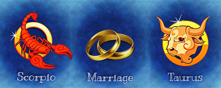 Мужчина Скорпион и Женщина Телец совместимость в браке