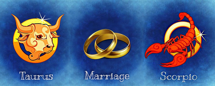 Мужчина Телец и Женщина Скорпион совместимость в браке
